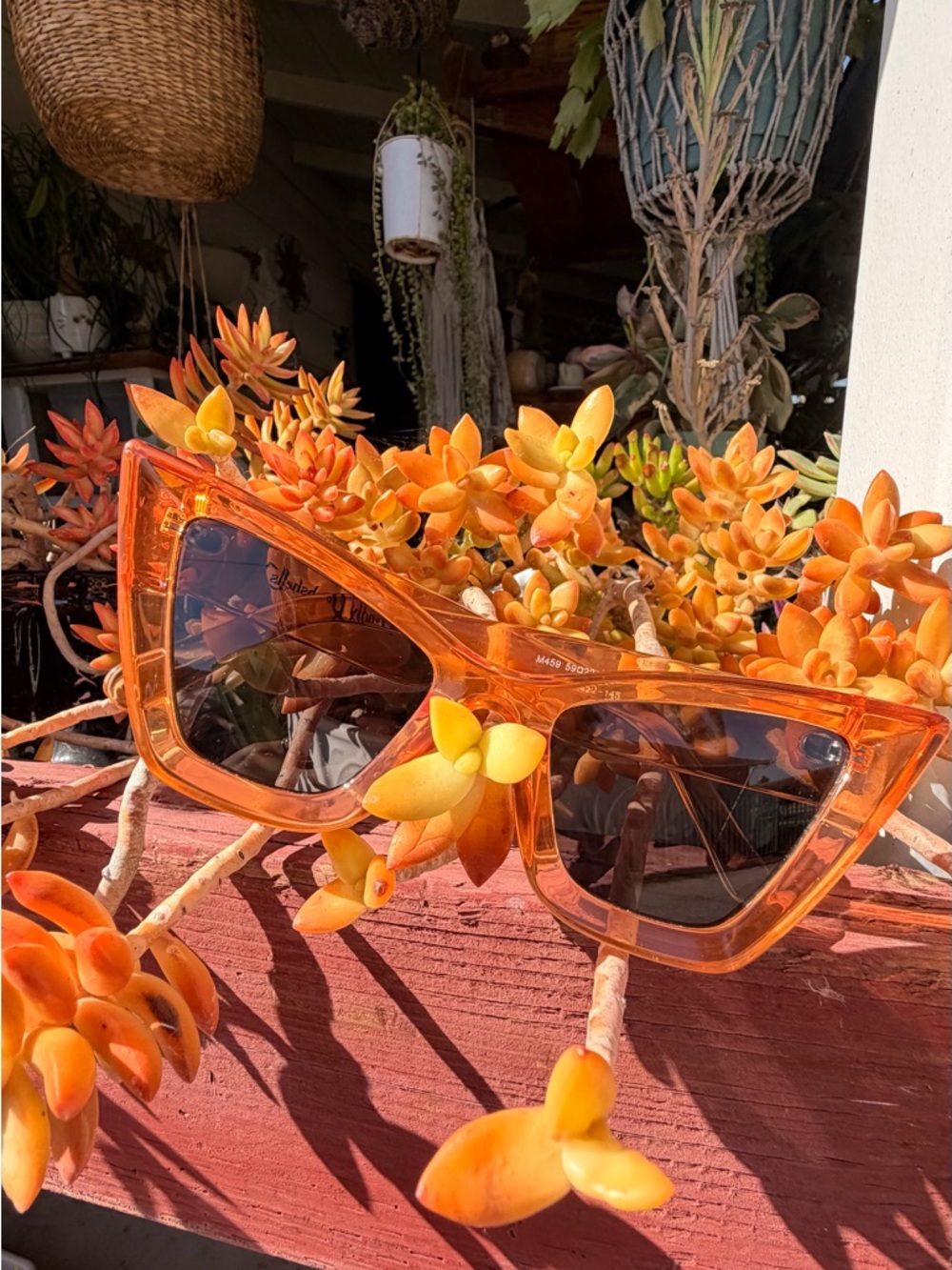 Amazon Orange Cat-Eye Sunglasses - Picture 5 of 8
